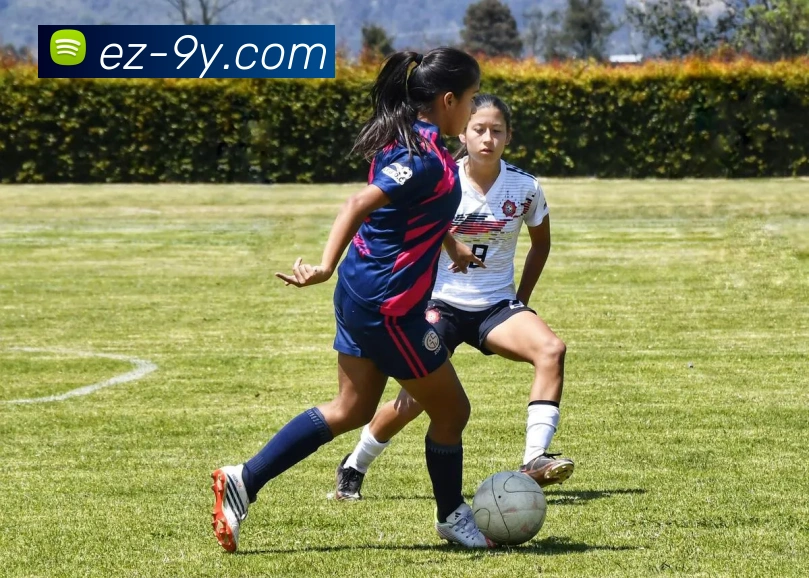 九游官网平台生态图